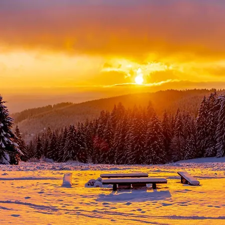 Semesterbostad In 3178